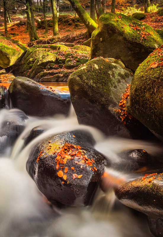 Cloughleagh River - Co Wicklow
