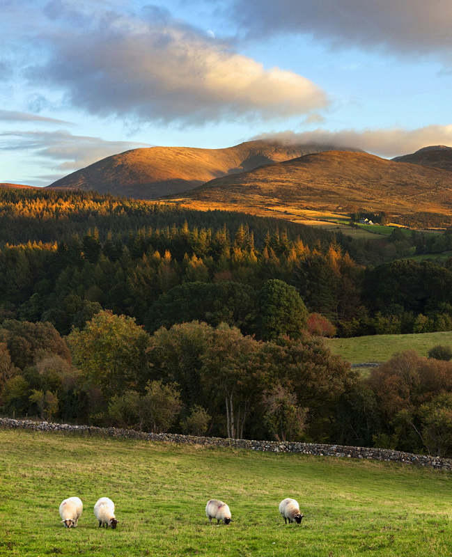 Mourne Evening - Co Down