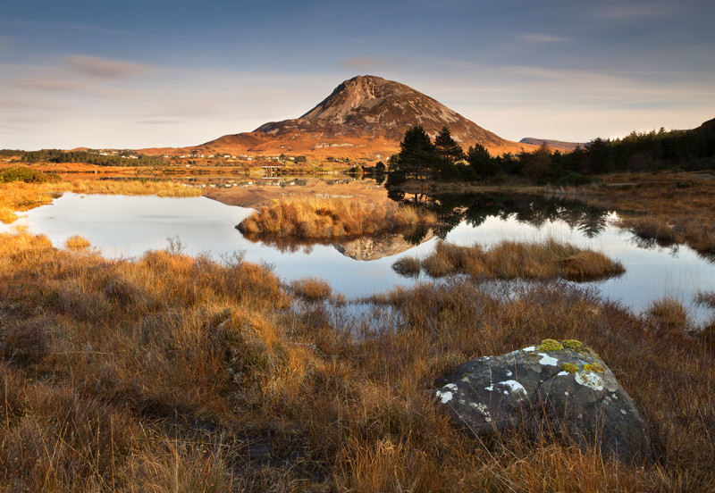 Errigal View - Co Donegal