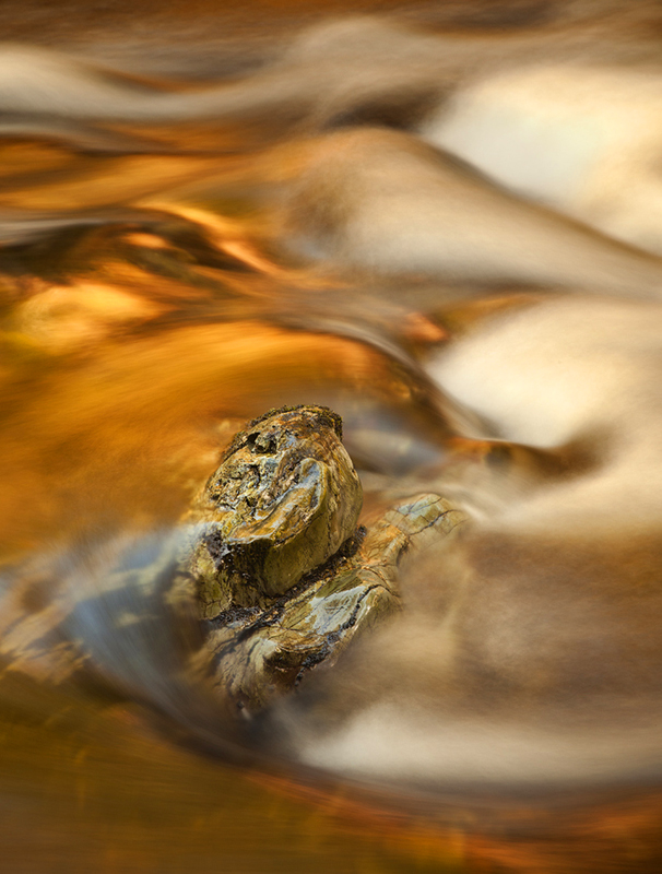 Golden Flow - Co Down