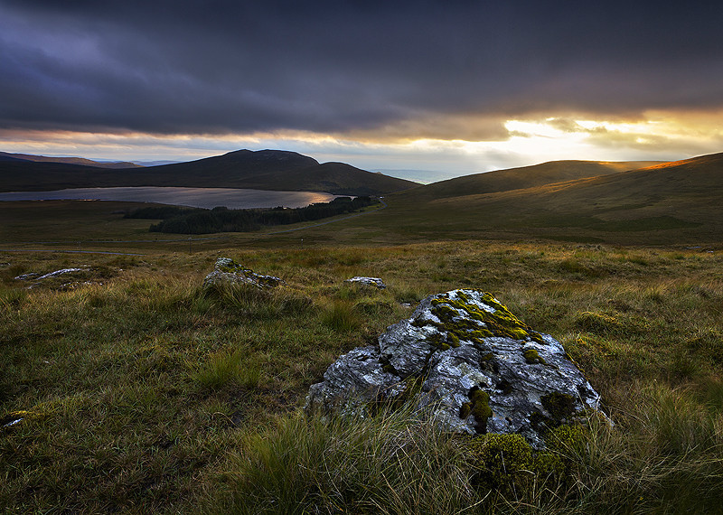 Spelga View - Co Down
