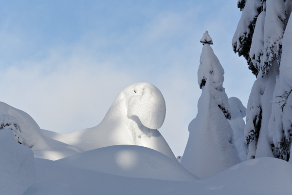 Winter - 3 - Winter on Hurricane Ridge