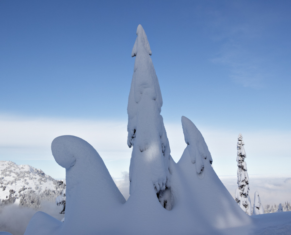 Winter - 19 - Winter on Hurricane Ridge