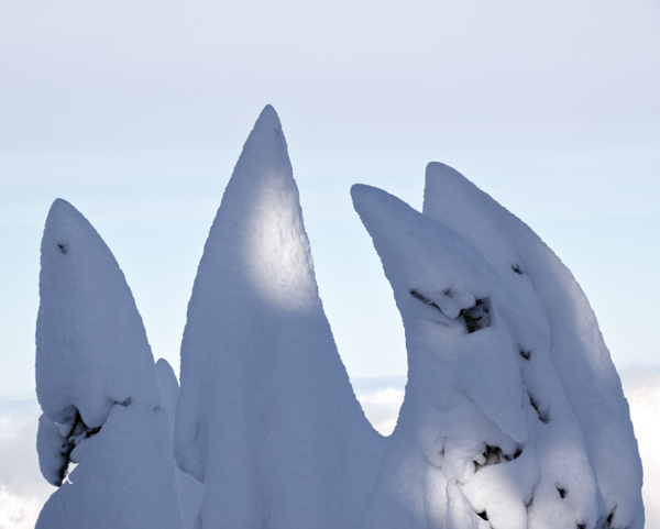 Winter - 20 - Winter on Hurricane Ridge