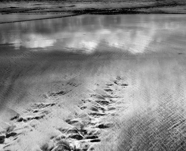 Turtle Track - Sand Script