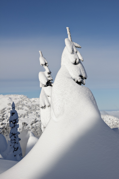 Winter - 32 - Winter on Hurricane Ridge