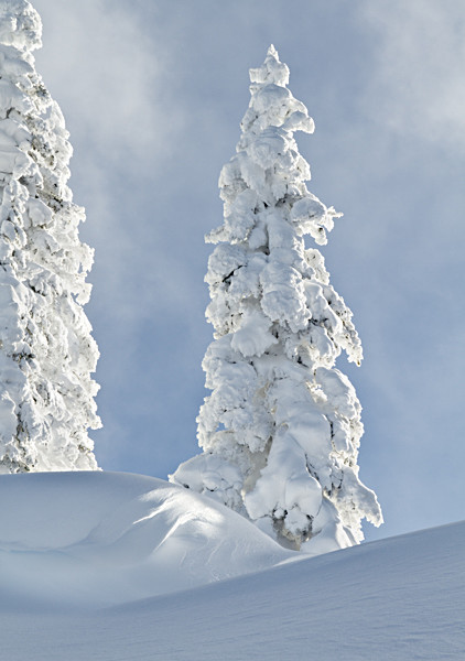 Winter - 29 - Winter on Hurricane Ridge