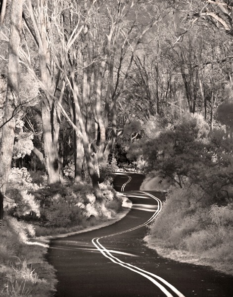 Coming to Kīpuka Kī - Landscapes