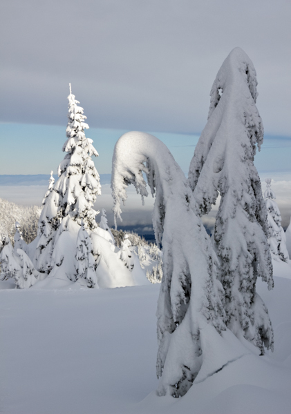 Winter - 28 - Winter on Hurricane Ridge