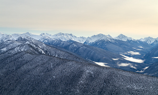 Winter - 33 - Winter on Hurricane Ridge