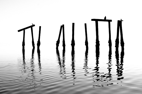 Torii - At the Water's Edge