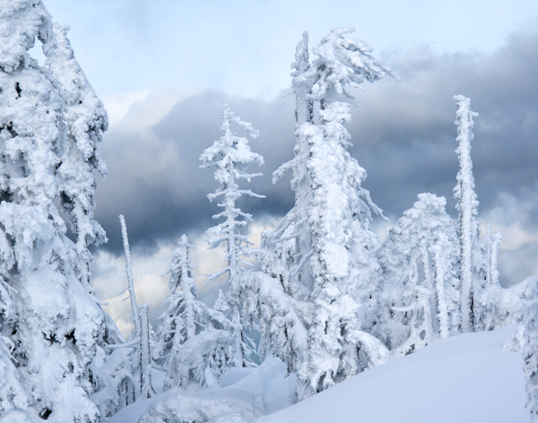 Winter - 30 - Winter on Hurricane Ridge