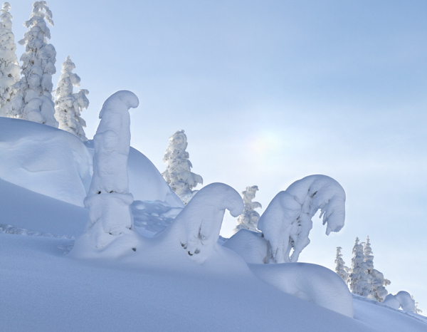 Winter - 6 - Winter on Hurricane Ridge