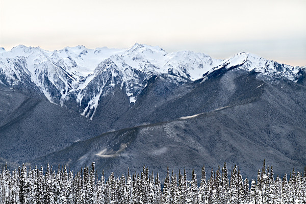 Winter - 16 - Winter on Hurricane Ridge