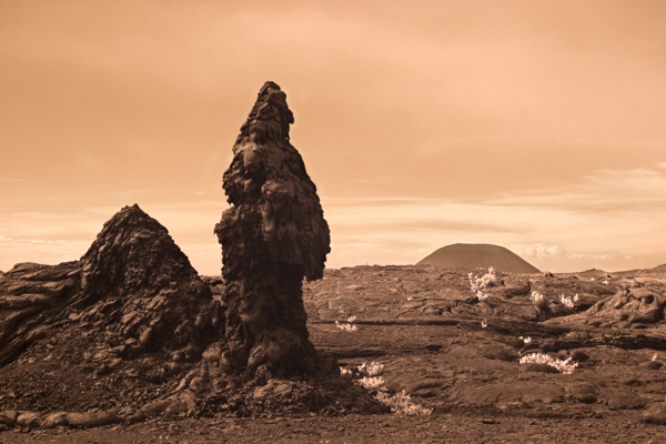 The Guardian - Landscapes