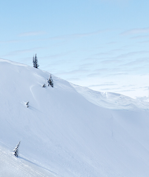 Winter - 8 - Winter on Hurricane Ridge