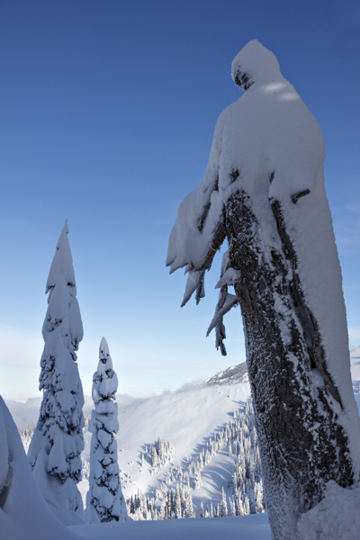 Winter - 31 - Winter on Hurricane Ridge