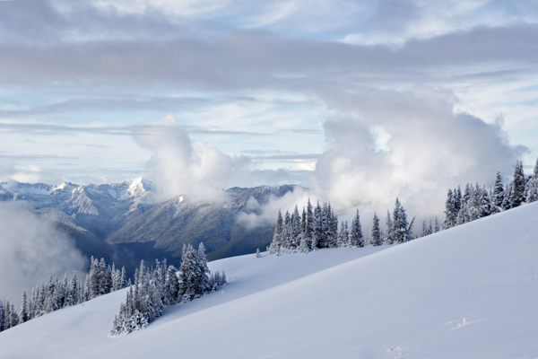 Winter - 7 - Winter on Hurricane Ridge