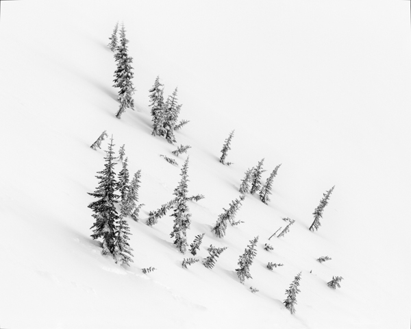 Winter - 25 - Winter on Hurricane Ridge