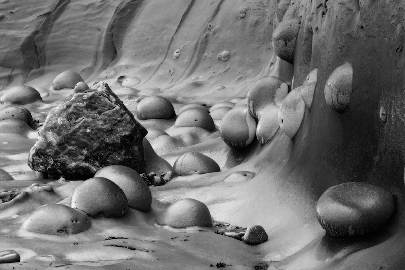 Sandstone Nodules - At the Water's Edge