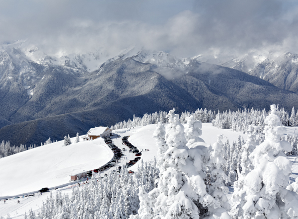 Winter - 21 - Winter on Hurricane Ridge