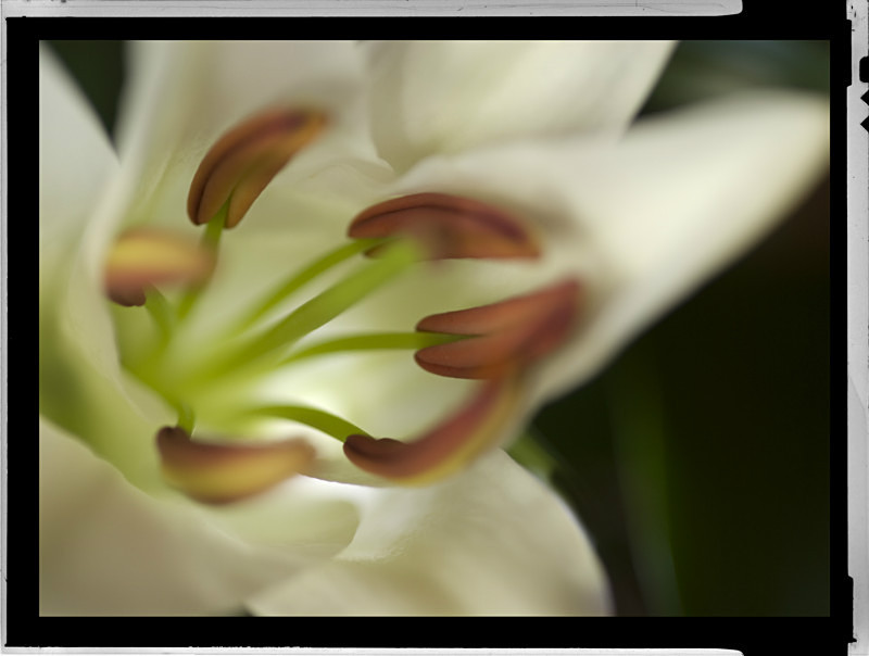  - Images