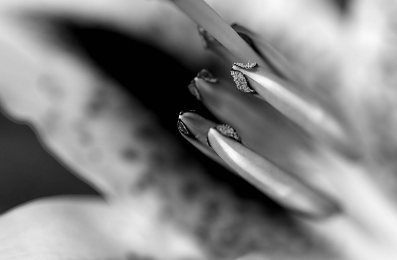  - Images