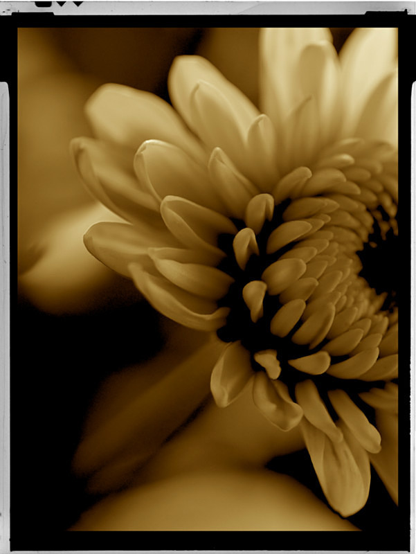  - Images