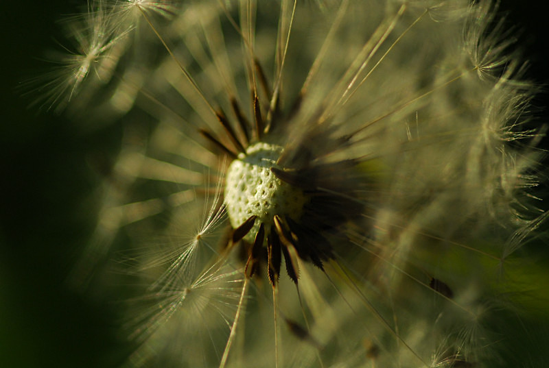  - Images
