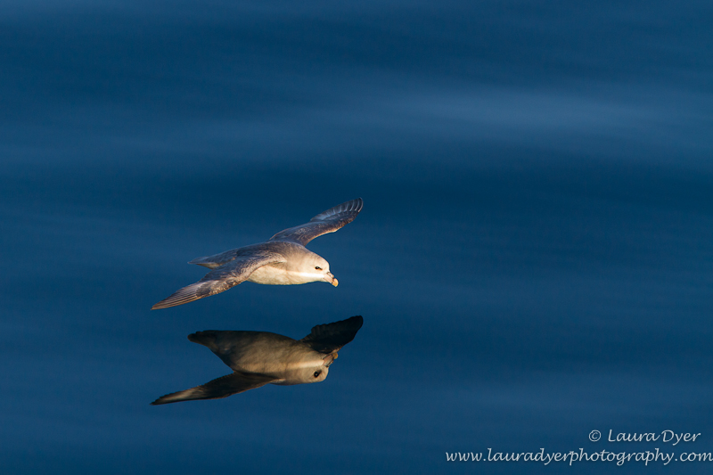 Skimming in glass