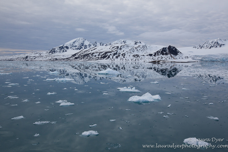 Arctic landscape - Svalbard