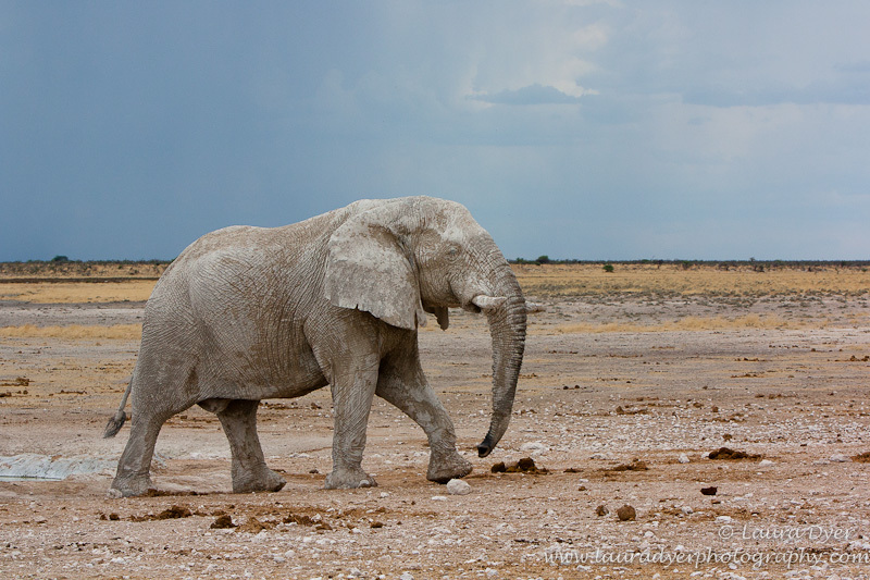 Stone elephant under stormy skies