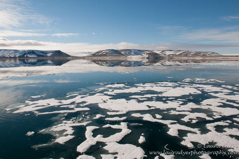 Fjord ice in Svalbard - Svalbard
