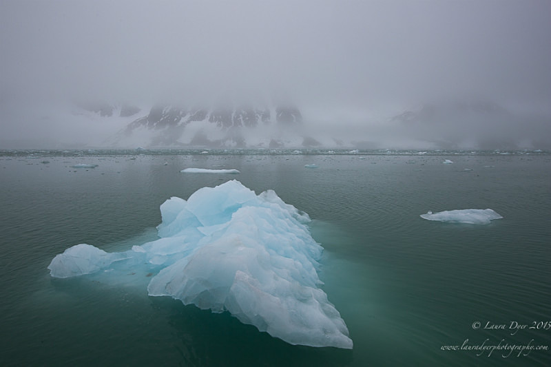 Icy in Fjord - Svalbard