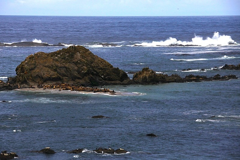 'Rough Waters' - recent additions