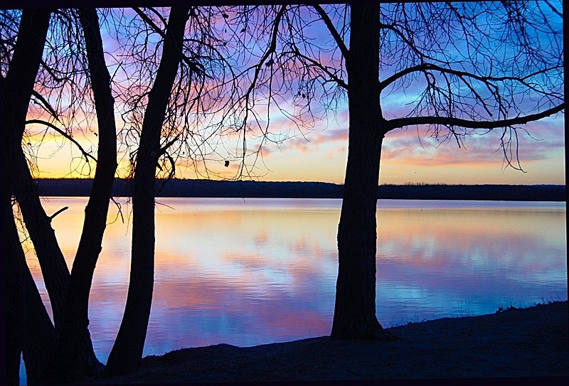 'Purple Majesty' - views across the country
