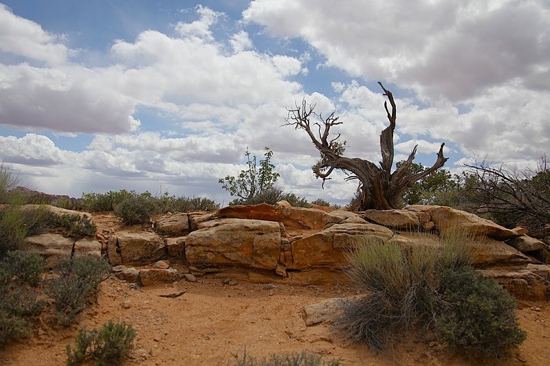  - Arches National Park