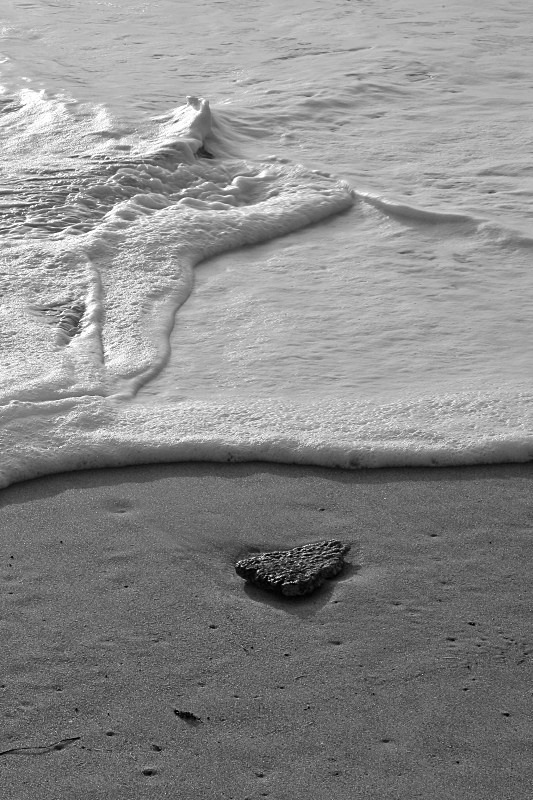 'Awash' - Black & White