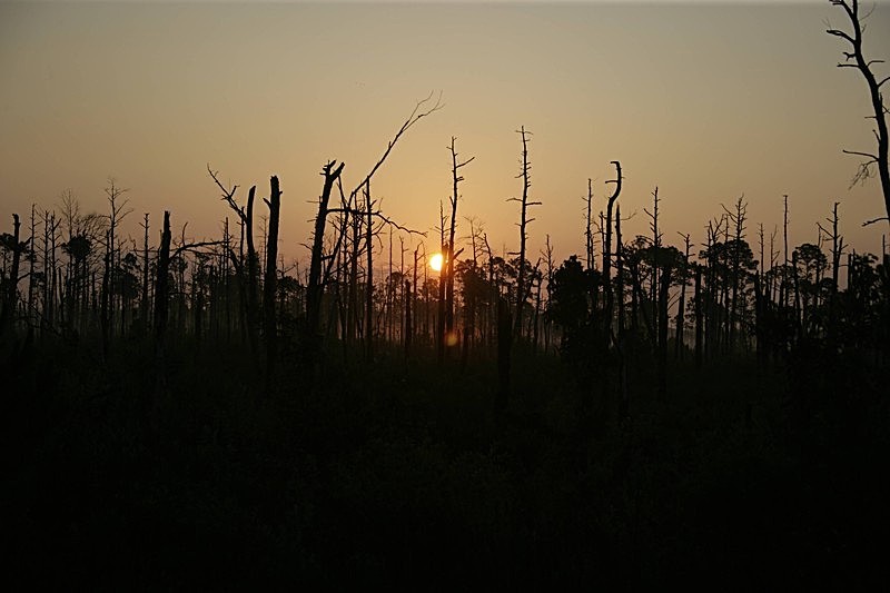 'Fire in the Sky' - views across the country
