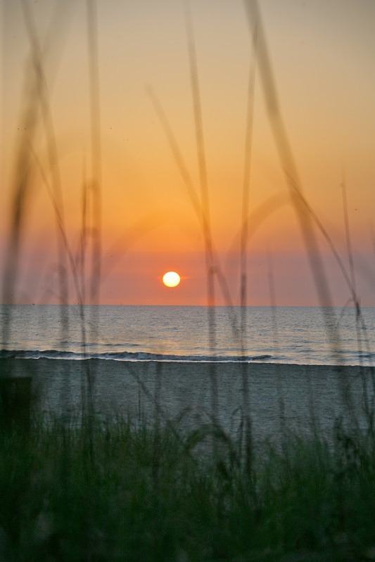 'Florida Orange' - of water