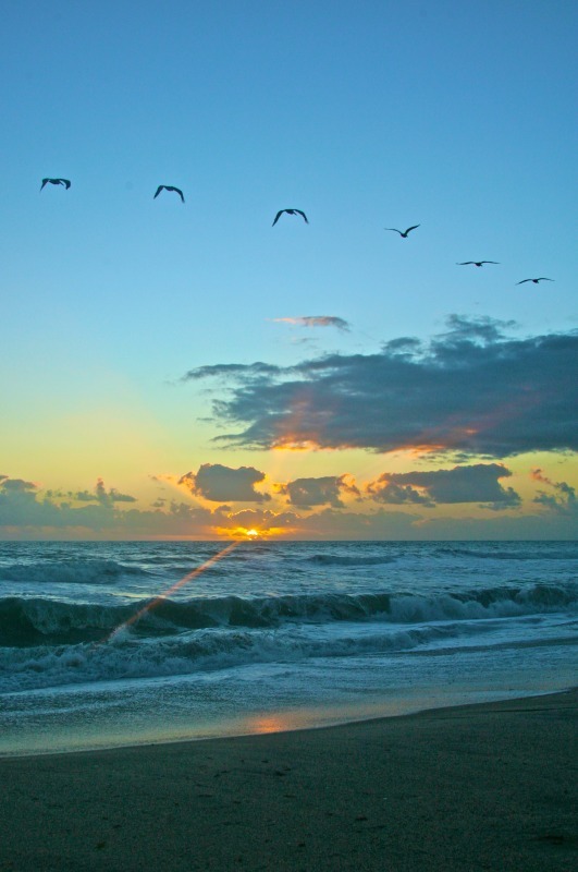 'Red-Eye Southbound' - of water