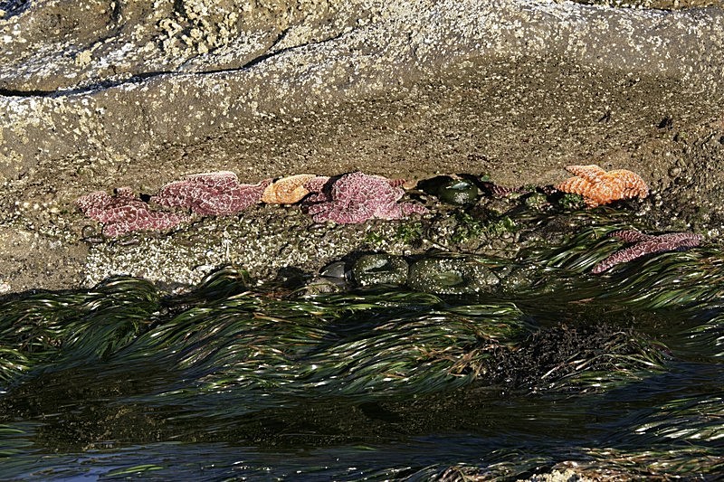 'Waterline' - recent additions