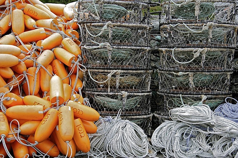 'Buoys' - of man and machine