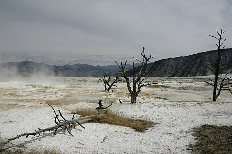 'Close to Hell' - recent additions