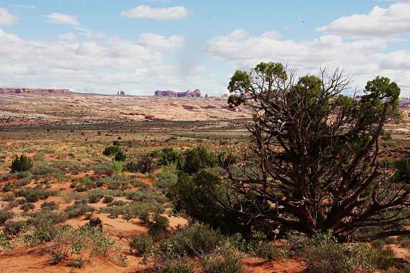 IMG_9171b - Arches National Park