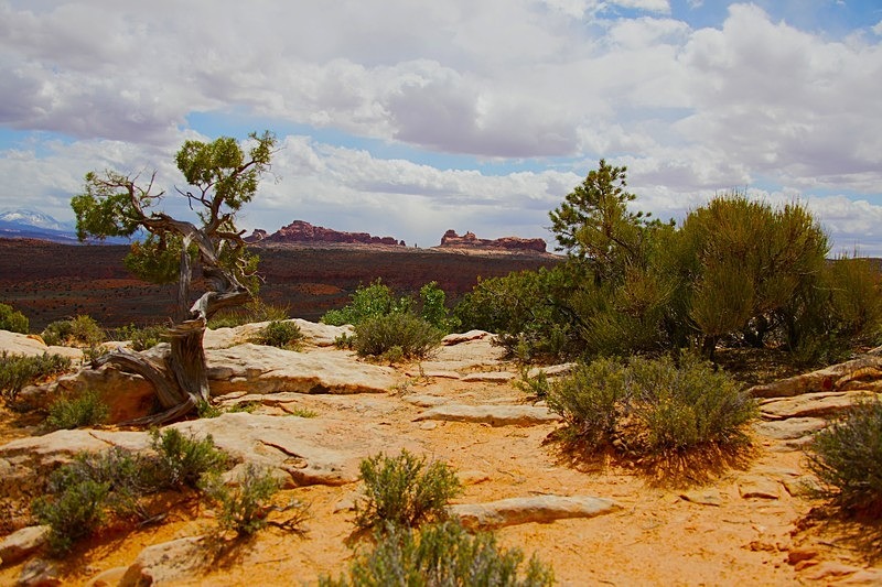  - Arches National Park