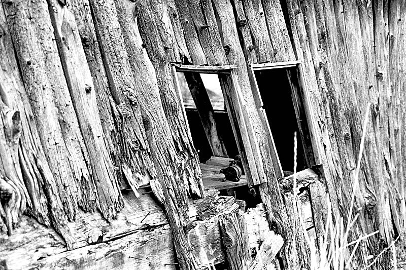 'Old Shed' - Black & White