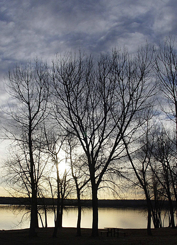 'Morn on the REs' - recent additions