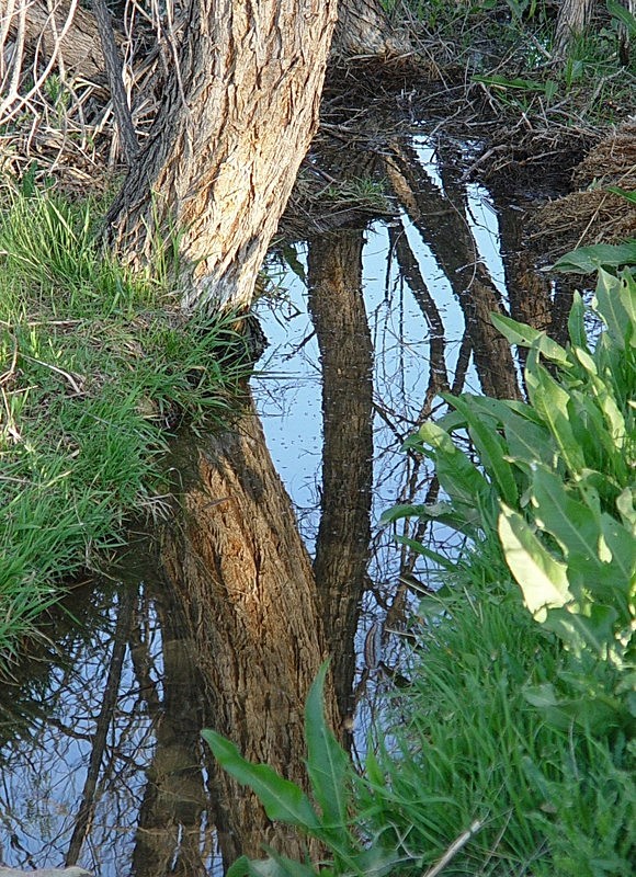 'Reflection' - views across the country