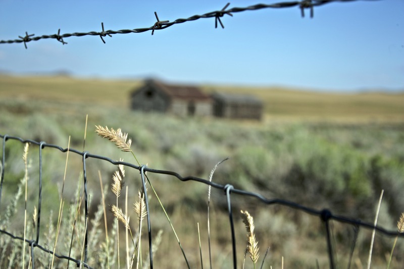 'Alone on the Range' - derelicts